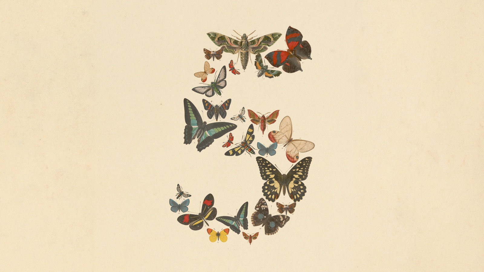 Anthropic 官方发布的 Claude Fable 5 / Mythos 5（图源：anthropic.com）