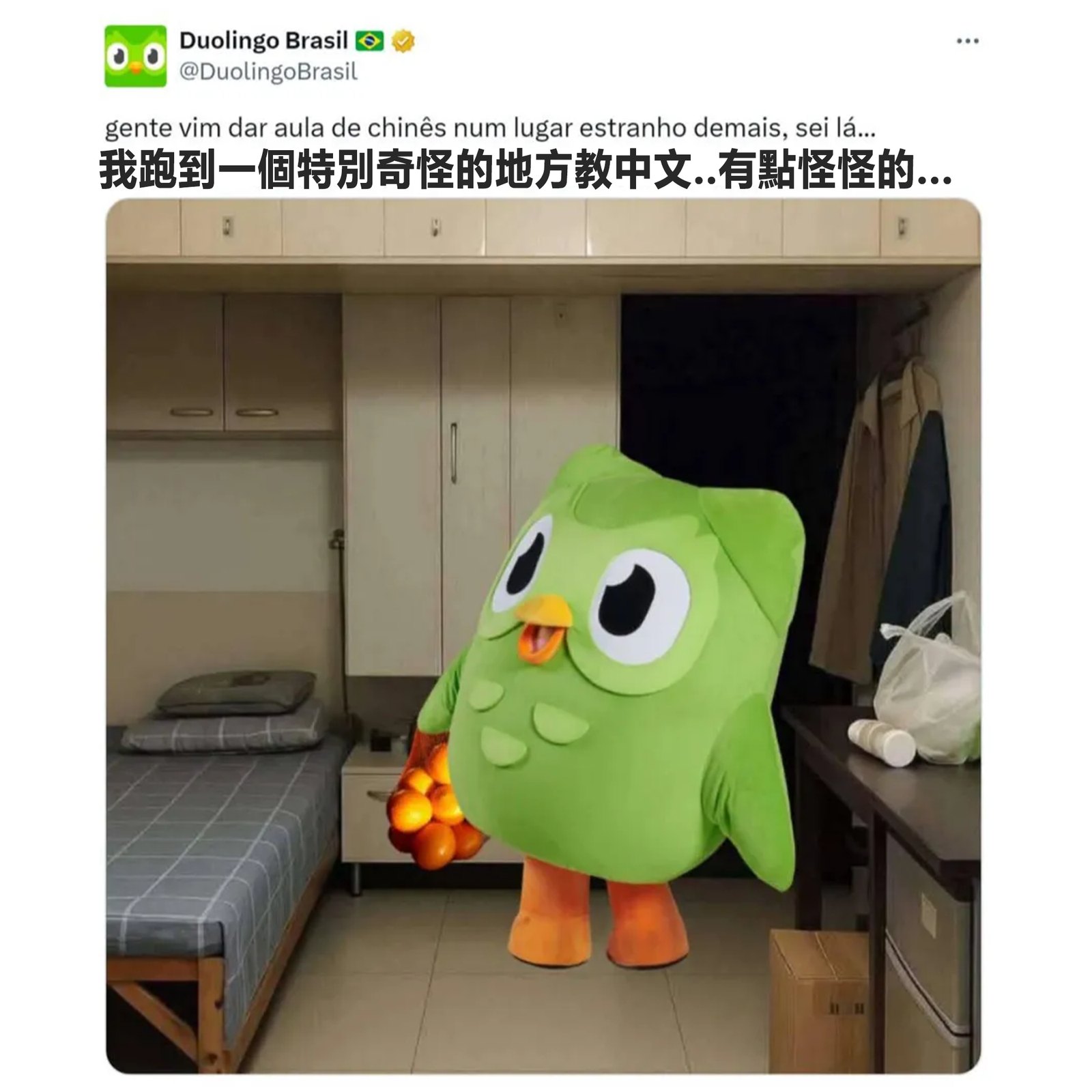# 十一万星背后：很多人把它当成又一个终端助手（梗图来源：搞完君2.0 社区帖）