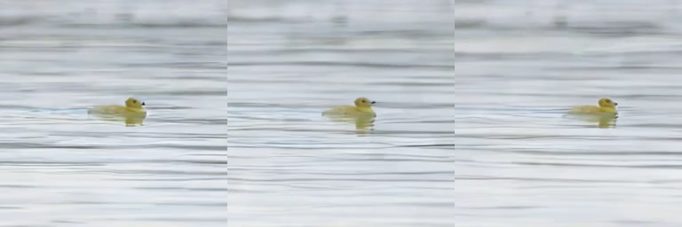 视频实测｜首帧、中间帧、末帧